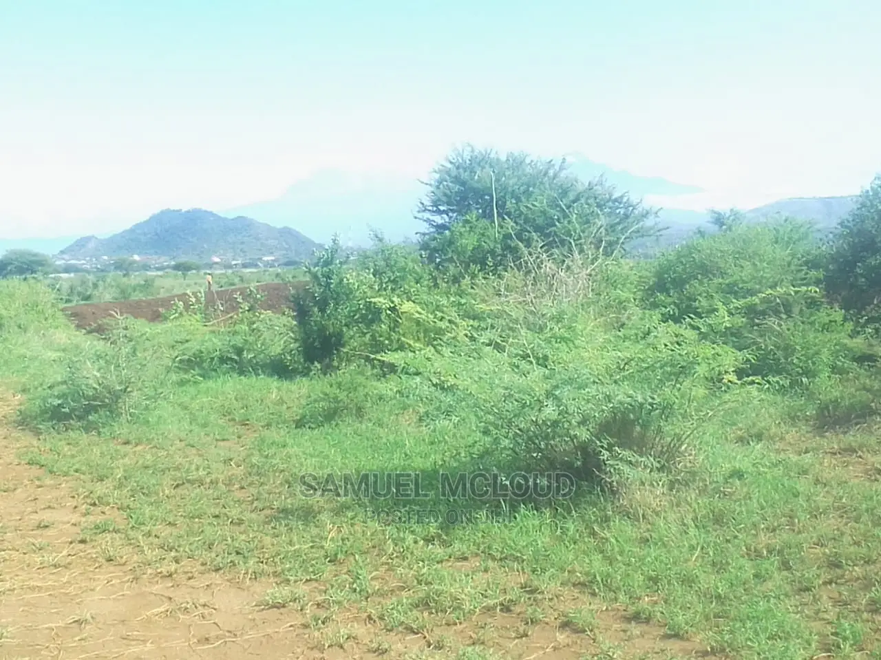 Taveta New Town 50×100