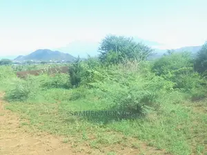 Taveta New Town 50×100
