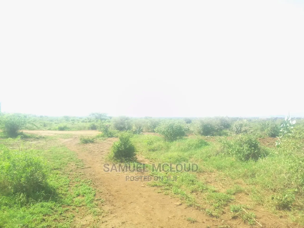 Taveta New Town 50×100