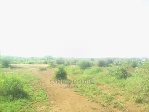 Taveta New Town 50×100