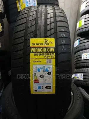 255/55 R 20 Black Lion Tyre