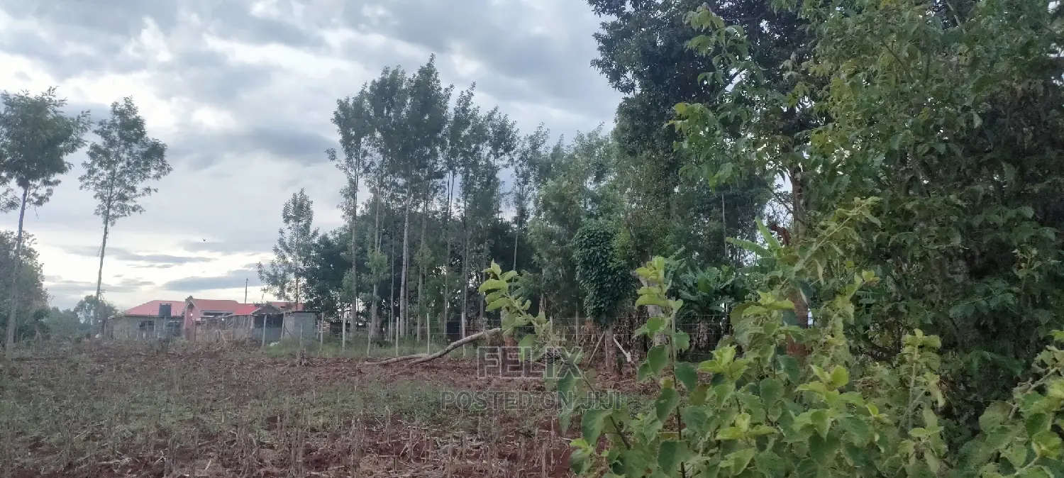 1 Acres Nyeri/Muruguru