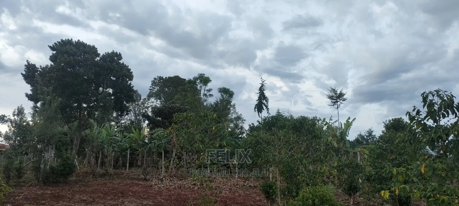 1 Acres Nyeri/Muruguru