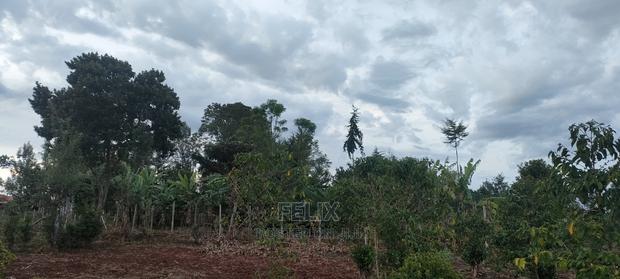 1 Acres Nyeri/Muruguru - thumbnail 8