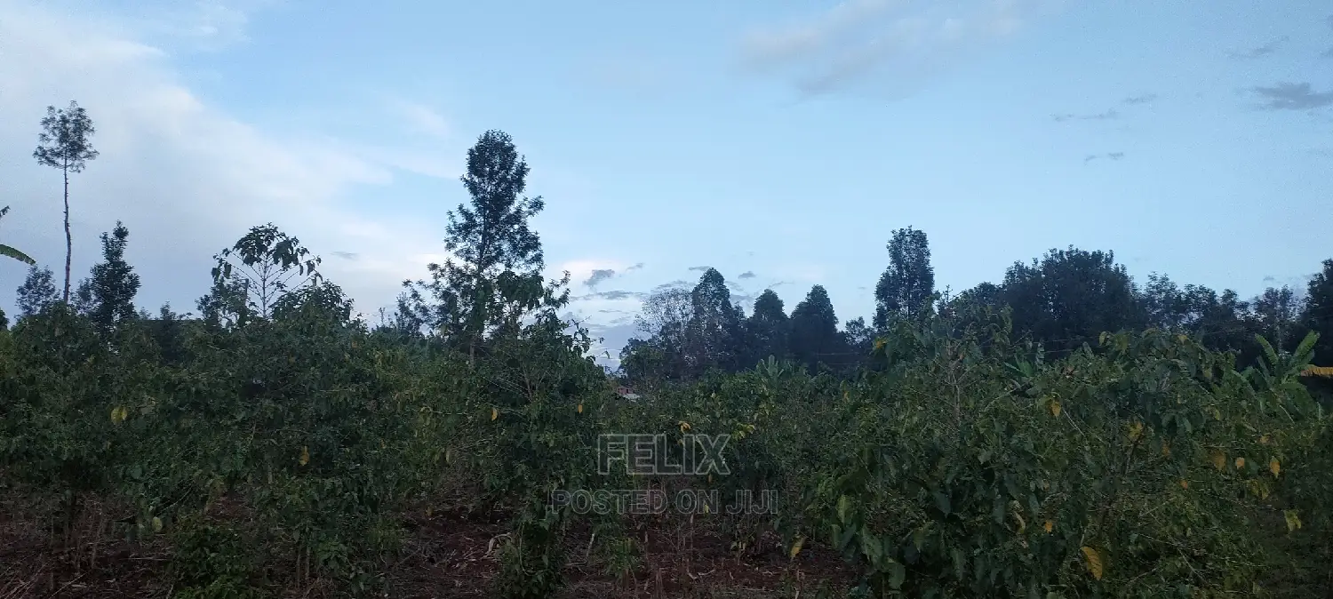 1 Acres Nyeri/Muruguru