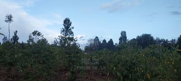 1 Acres Nyeri/Muruguru - thumbnail 9