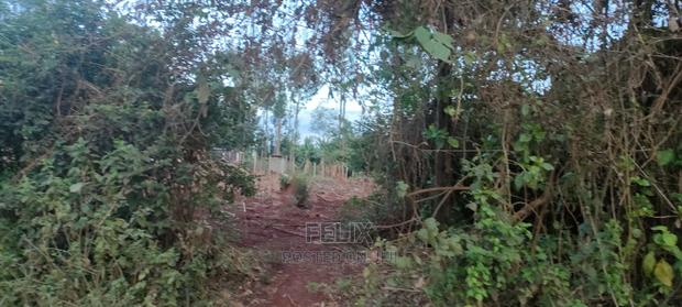 1 Acres Nyeri/Muruguru - thumbnail 11