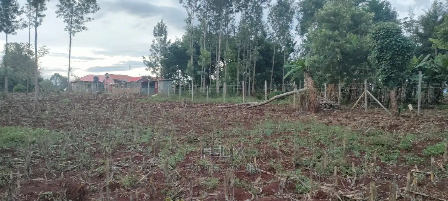 1 Acres Nyeri/Muruguru