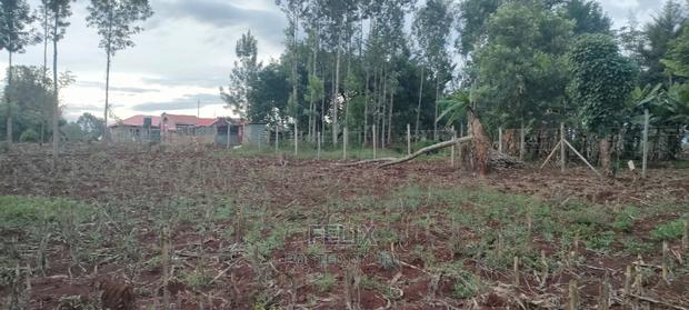 1 Acres Nyeri/Muruguru - thumbnail 5