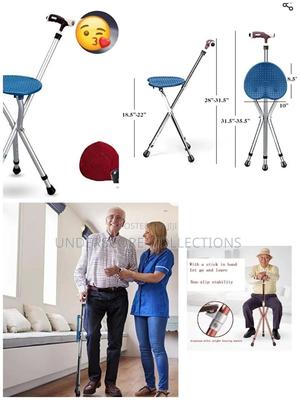 *Switch Camping/Walking Stick - thumbnail 2