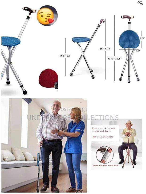 *Switch Camping/Walking Stick - main view