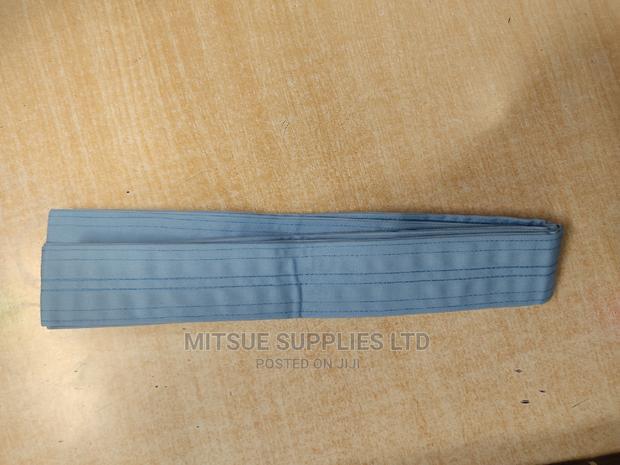 Taekwondo/Karate/Judo Blue Belt - thumbnail 2