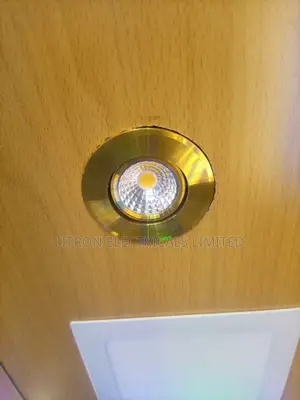 5wb Gypsum Fittings, Downlighter