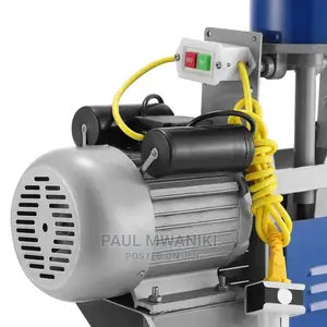 Electric Milking Machine Stainless Steel Double Bucket