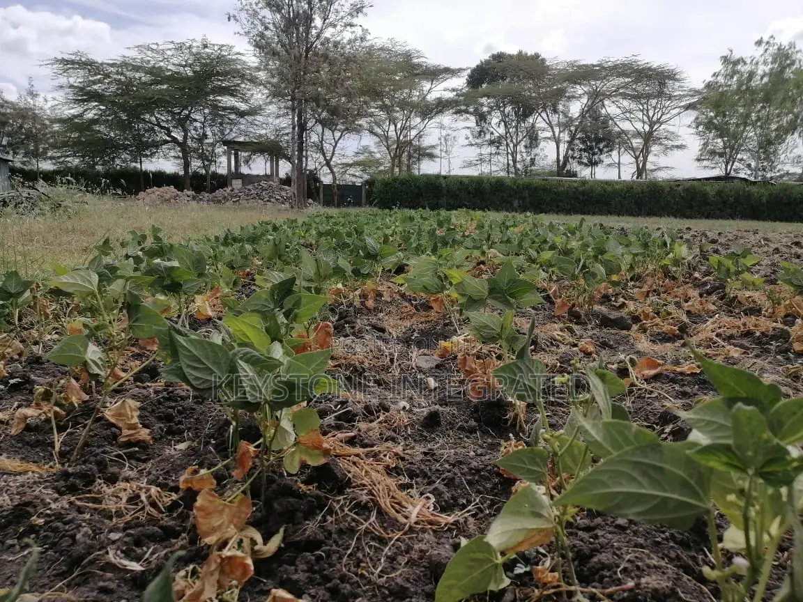 1/4 Acre Plots for Sale in Sensei Kitengela