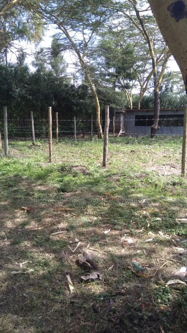 1/4 Acre Plots for Sale in Sensei Kitengela