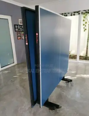 Dunrun Indoor Table Tennis Table Plus Accessories