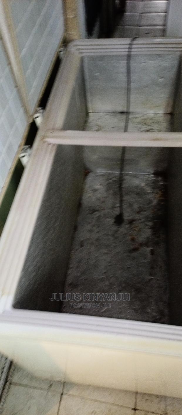 Double Door Freezer - main view
