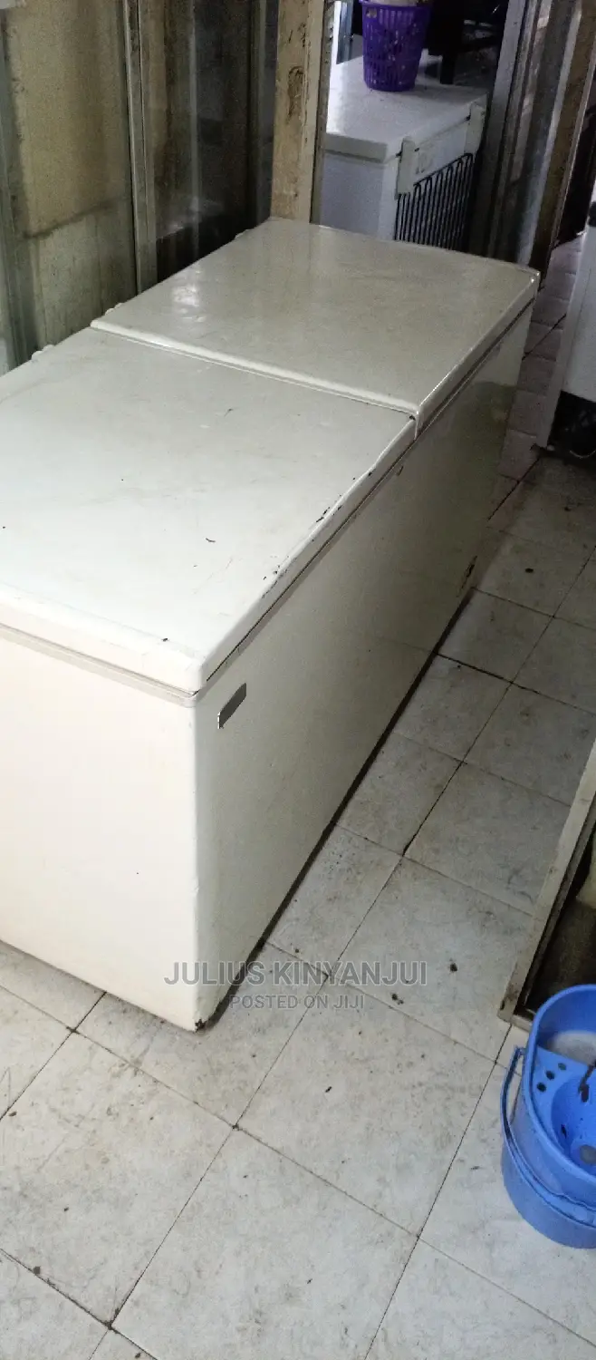 Double Door Freezer