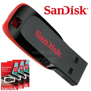 Sandisk 4 Gb Flash