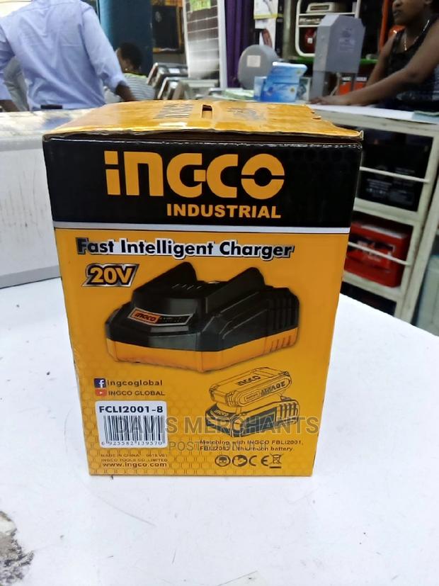 Fast Intelligent Changer 20v - main view