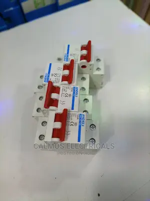 100A Double Poles