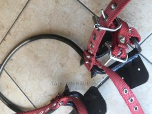 Pole Climbers - thumbnail 2