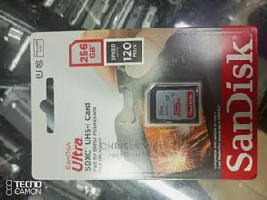 Sandisk Camera 256GB Memory Card
