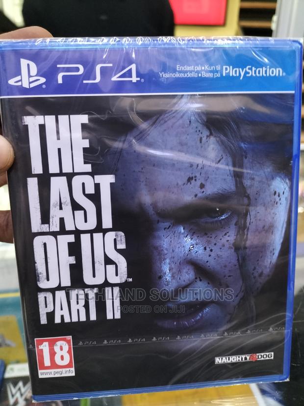 The Last of US Part 2 - main view