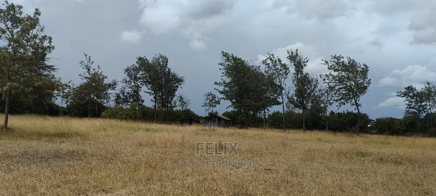 1 Acre Chaka/ Narumoru Main Tarmac in Kieni Land & Plots for Sale