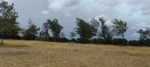 1 Acre Chaka/ Narumoru Main Tarmac