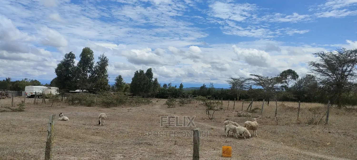 1 Acre Chaka/ Narumoru Main Tarmac
