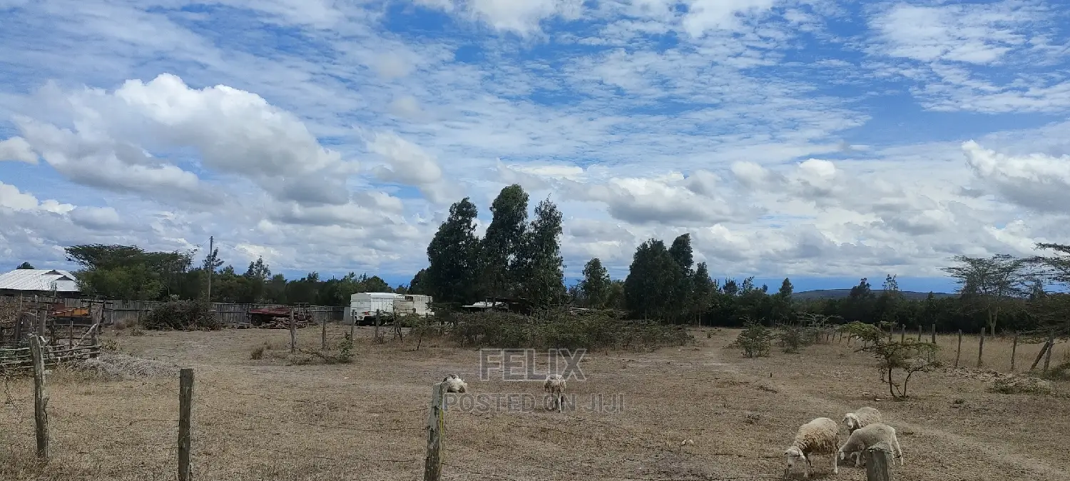 1 Acre Chaka/ Narumoru Main Tarmac