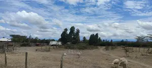 1 Acre Chaka/ Narumoru Main Tarmac