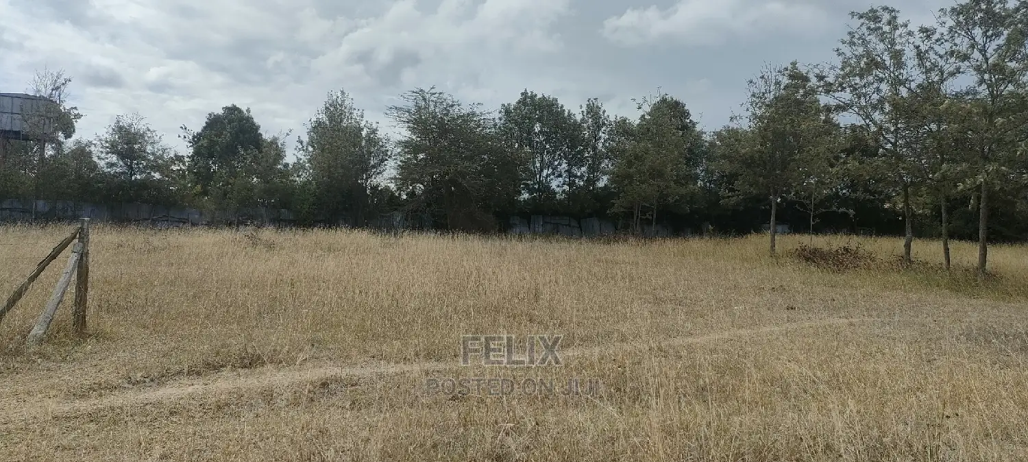 1 Acre Chaka/ Narumoru Main Tarmac