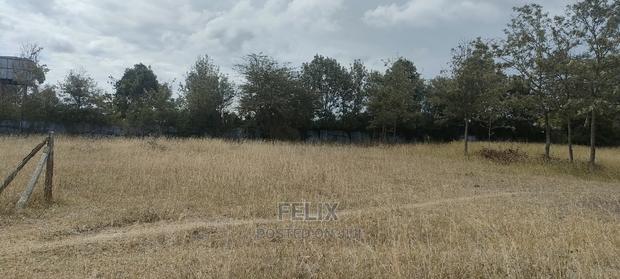 1 Acre Chaka/ Narumoru Main Tarmac - thumbnail 6