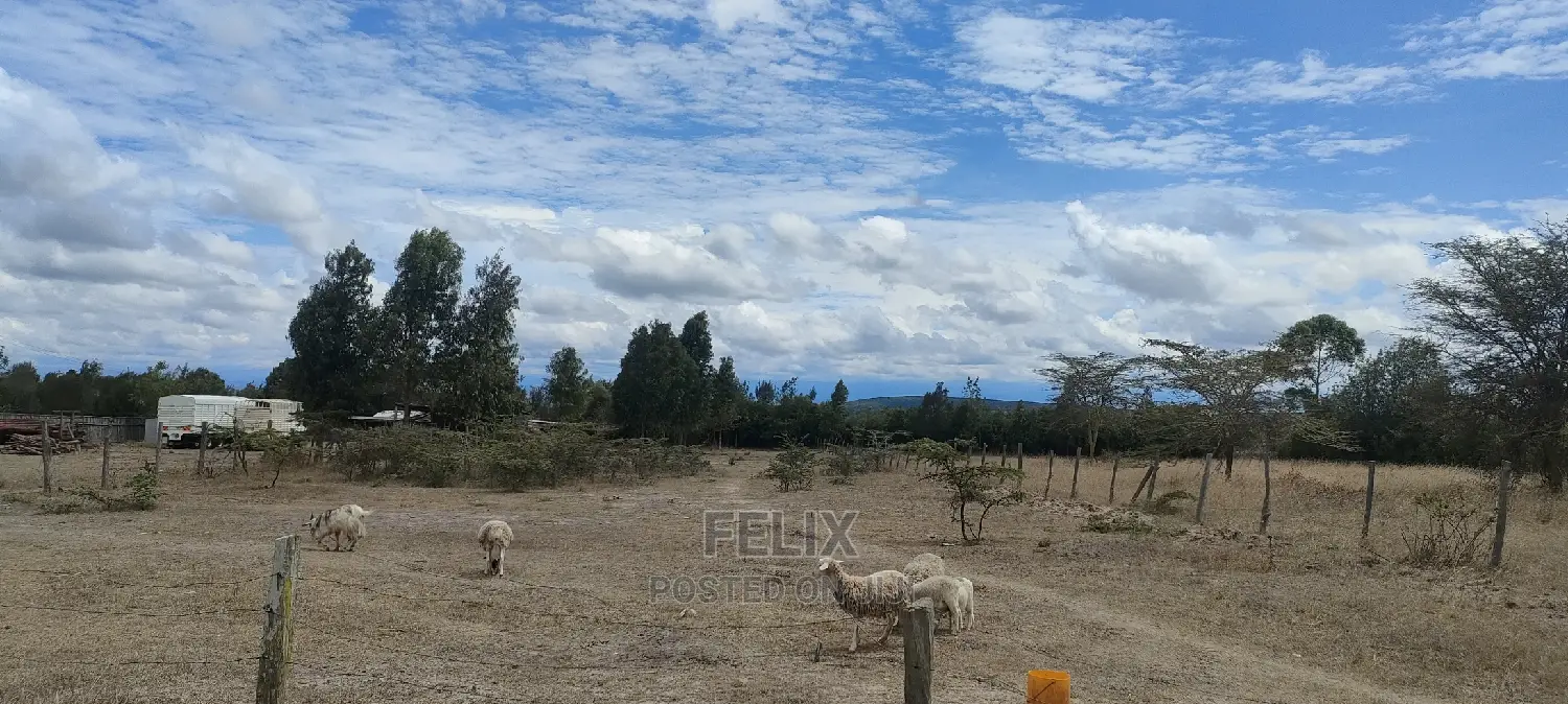 1 Acre Chaka/ Narumoru Main Tarmac