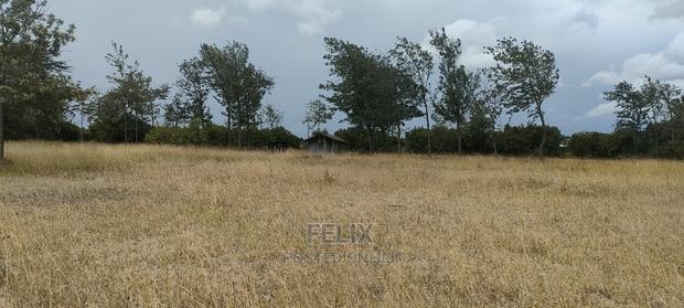 1 Acre Chaka/ Narumoru Main Tarmac - thumbnail 7