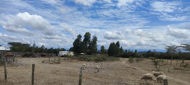 1 Acre Chaka/ Narumoru Main Tarmac - thumbnail 9