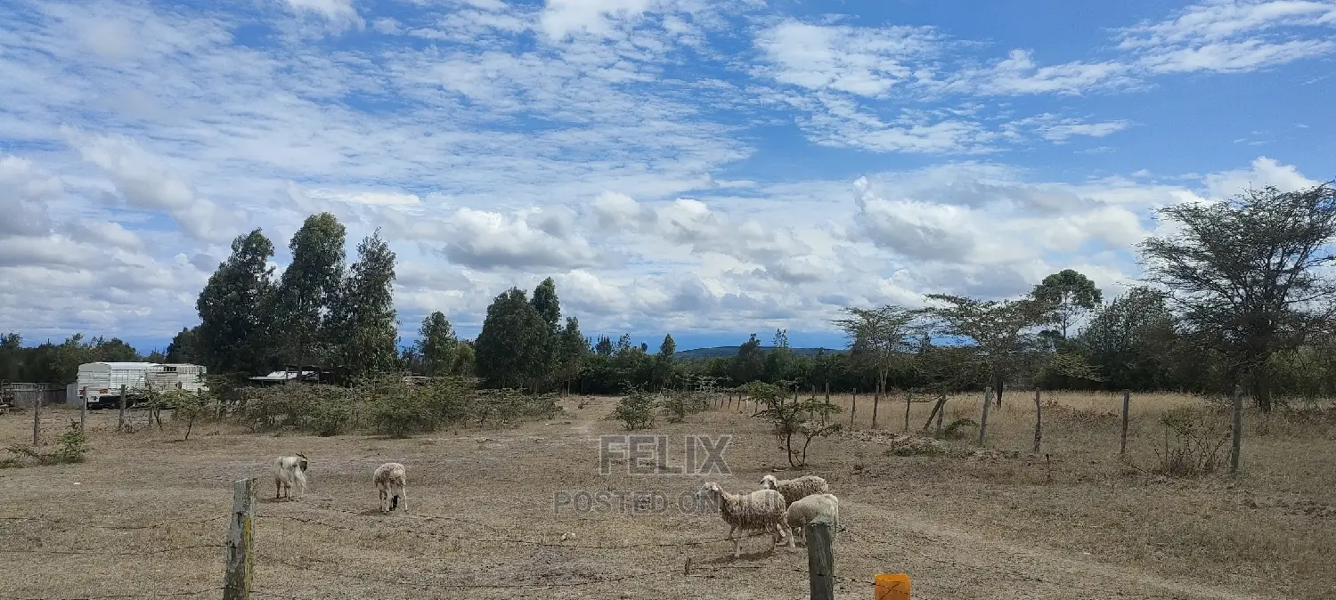 1 Acre Chaka/ Narumoru Main Tarmac in Kieni Land & Plots for Sale