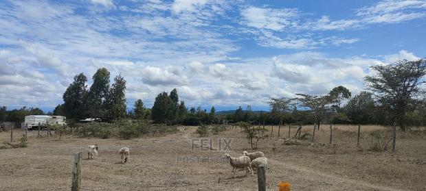 1 Acre Chaka/ Narumoru Main Tarmac - thumbnail 10