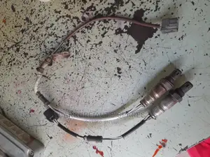 Oxygen Sensors for All Cars