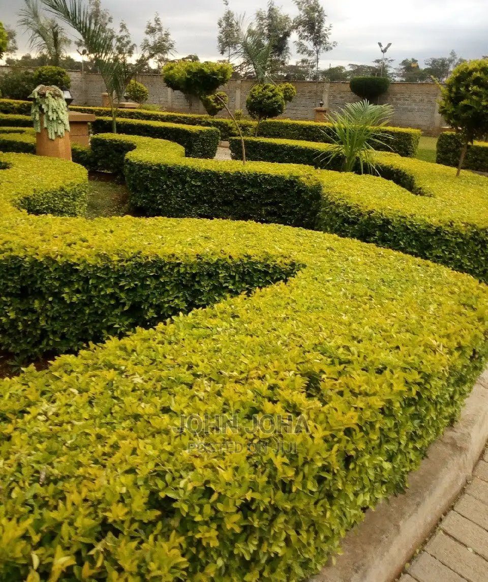 Landscaping and Gardening