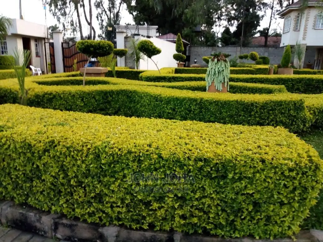 Landscaping and Gardening