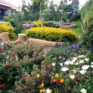 Landscaping and Gardening