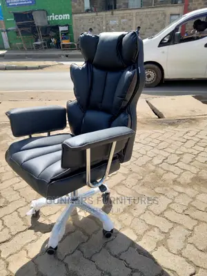 Executive Office Chairs Chairs.