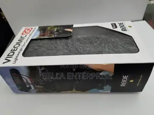 Videomic Go