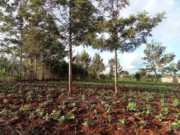 82*165 Residential Land on Sale at Ruiru - thumbnail 3