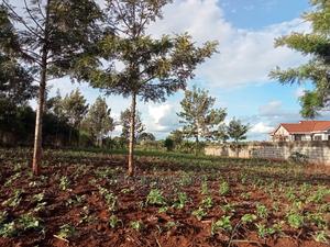 82*165 Residential Land on Sale at Ruiru - thumbnail 2