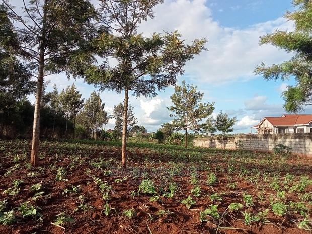 82*165 Residential Land on Sale at Ruiru - main view